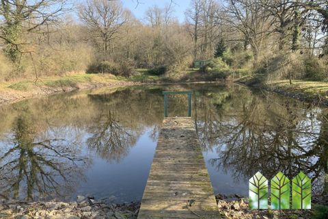 Rækkehus i Chassignolles, Indre, Chassignolles - € 55.000 | Ref: PH1274-ATTEGIA - foto 35