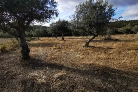 Helårsgrund i Castelo Branco, Castelo Branco, Castelo Branco - € 15.000 | Ref: C0434-01224 - foto 1