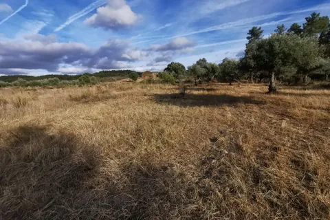 Helårsgrund i Castelo Branco, Castelo Branco, Castelo Branco - € 15.000 | Ref: C0434-01224 - foto 3