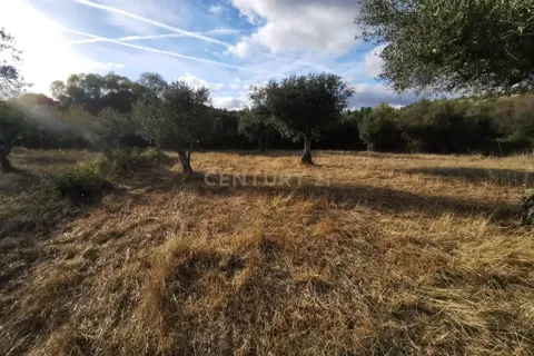 Helårsgrund i Castelo Branco, Castelo Branco, Castelo Branco - € 15.000 | Ref: C0434-01224 - foto 7