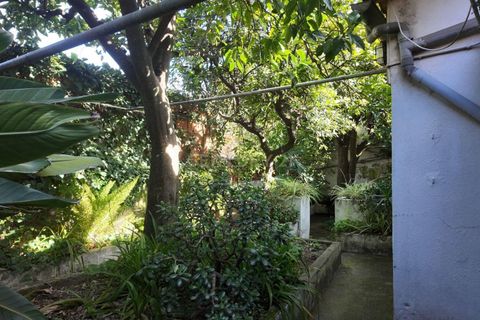 Villa i Castelo Branco, Castelo Branco, Castelo Branco - € 270.000 | Ref: C0434-01238 - foto 33