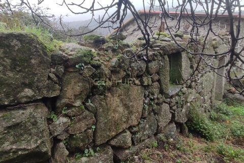 Villa i Castelo Branco, Castelo Branco, Castelo Branco - € 9.500 | Ref: C0434-01240 - foto 5