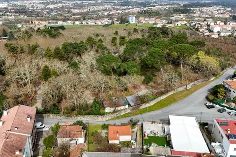 Villa i Viseu, Viseu, Viseu - € 325.000 | Ref: C0203-02605 - foto 15