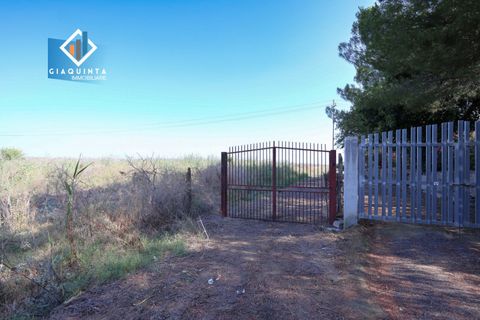 Terra a Ramacca, Catania, Ramacca - € 280.000 | Ref: RDZVNC2025 - foto 3