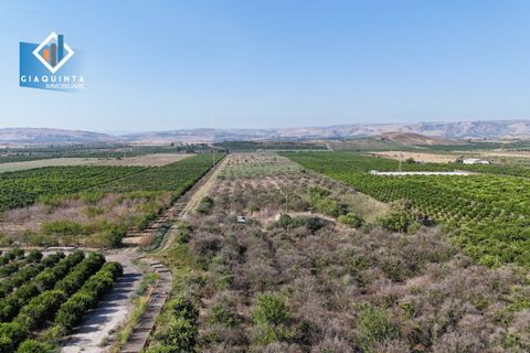 Terra a Ramacca, Catania, Ramacca - € 280.000 | Ref: RDZVNC2025 - foto 4