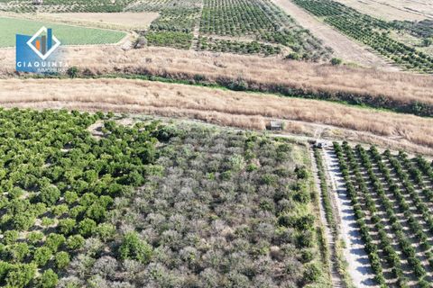 Terra a Ramacca, Catania, Ramacca - € 280.000 | Ref: RDZVNC2025 - foto 6