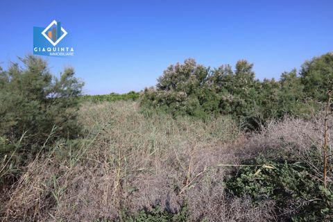 Terra a Ramacca, Catania, Ramacca - € 280.000 | Ref: RDZVNC2025 - foto 7