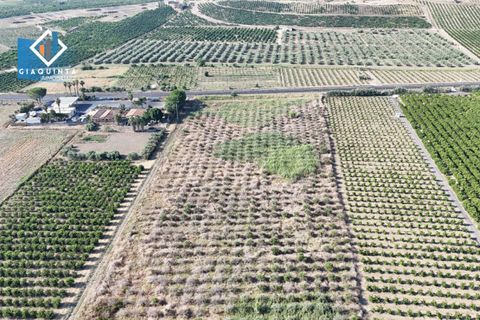 Terra a Ramacca, Catania, Ramacca - € 280.000 | Ref: RDZVNC2025 - foto 11