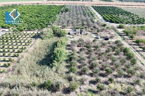 Terra a Ramacca, Catania, Ramacca - € 280.000 | Ref: RDZVNC2025 - foto 14
