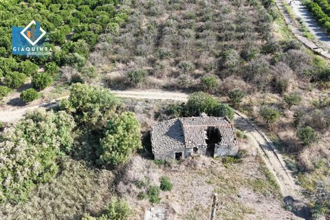 Terra a Ramacca, Catania, Ramacca - € 280.000 | Ref: RDZVNC2025 - foto 15