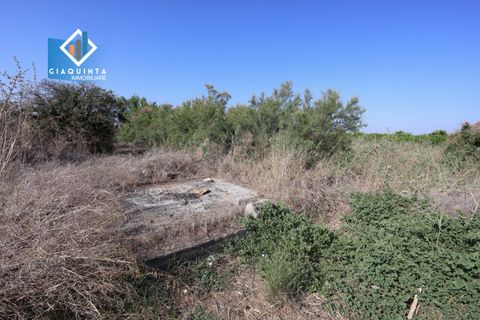 Terra a Ramacca, Catania, Ramacca - € 280.000 | Ref: RDZVNC2025 - foto 19