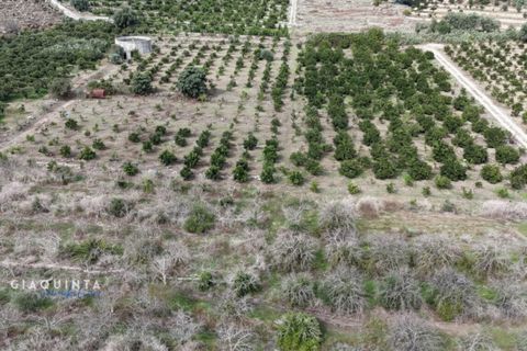 Tomt i Lentini, Siracusa, Lentini - € 125 000 | Ref: LFRFRT2026 - foto 2