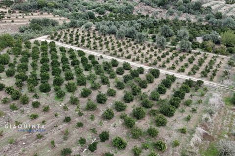 Tomt i Lentini, Siracusa, Lentini - € 125 000 | Ref: LFRFRT2026 - foto 3