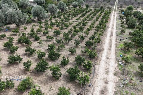 Tomt i Lentini, Siracusa, Lentini - € 125 000 | Ref: LFRFRT2026 - foto 5