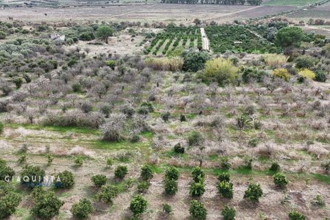 Tomt i Lentini, Siracusa, Lentini - € 125 000 | Ref: LFRFRT2026 - foto 6