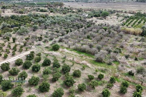 Tomt i Lentini, Siracusa, Lentini - € 125 000 | Ref: LFRFRT2026 - foto 7