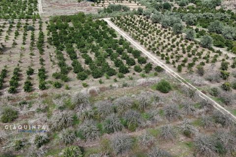 Tomt i Lentini, Siracusa, Lentini - € 125 000 | Ref: LFRFRT2026 - foto 8