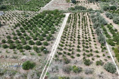 Tomt i Lentini, Siracusa, Lentini - € 125 000 | Ref: LFRFRT2026 - foto 10