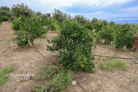 Tomt i Lentini, Siracusa, Lentini - € 125 000 | Ref: LFRFRT2026 - foto 11