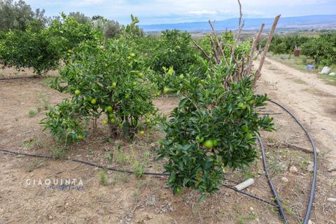 Tomt i Lentini, Siracusa, Lentini - € 125 000 | Ref: LFRFRT2026 - foto 12