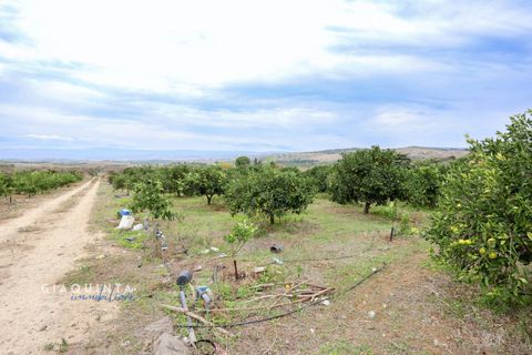 Tomt i Lentini, Siracusa, Lentini - € 125 000 | Ref: LFRFRT2026 - foto 13