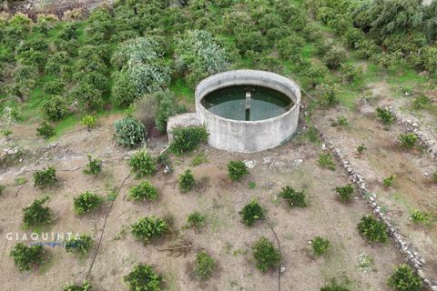 Tomt i Lentini, Siracusa, Lentini - € 125 000 | Ref: LFRFRT2026 - foto 14