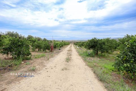 Tomt i Lentini, Siracusa, Lentini - € 125 000 | Ref: LFRFRT2026 - foto 15