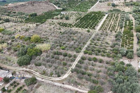 Tomt i Lentini, Siracusa, Lentini - € 125 000 | Ref: LFRFRT2026 - foto 16