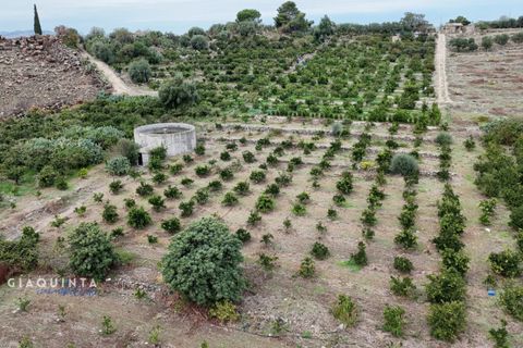Tomt i Lentini, Siracusa, Lentini - € 125 000 | Ref: LFRFRT2026 - foto 18