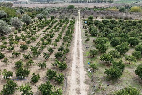 Tomt i Lentini, Siracusa, Lentini - € 125 000 | Ref: LFRFRT2026 - foto 19