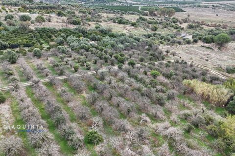 Tomt i Lentini, Siracusa, Lentini - € 125 000 | Ref: LFRFRT2026 - foto 20