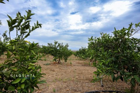 Tomt i Lentini, Siracusa, Lentini - € 125 000 | Ref: LFRFRT2026 - foto 21