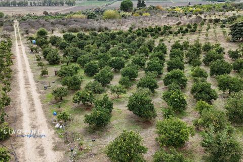 Tomt i Lentini, Siracusa, Lentini - € 125 000 | Ref: LFRFRT2026 - foto 22
