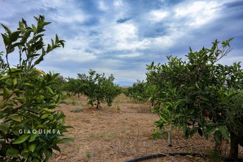 Tomt i Lentini, Siracusa, Lentini - € 125 000 | Ref: LFRFRT2026 - foto 23