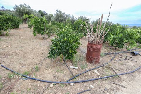 Tomt i Lentini, Siracusa, Lentini - € 125 000 | Ref: LFRFRT2026 - foto 24