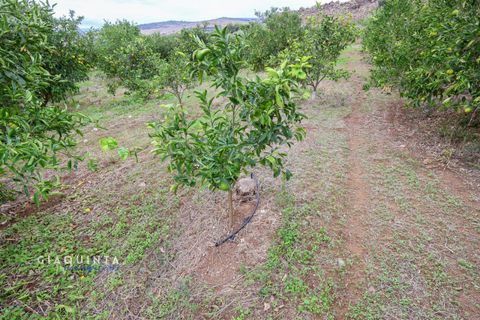 Tomt i Lentini, Siracusa, Lentini - € 125 000 | Ref: LFRFRT2026 - foto 25
