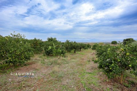 Tomt i Lentini, Siracusa, Lentini - € 125 000 | Ref: LFRFRT2026 - foto 26