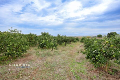 Tomt i Lentini, Siracusa, Lentini - € 125 000 | Ref: LFRFRT2026 - foto 27
