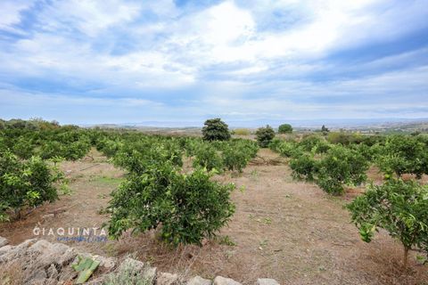 Tomt i Lentini, Siracusa, Lentini - € 125 000 | Ref: LFRFRT2026 - foto 29