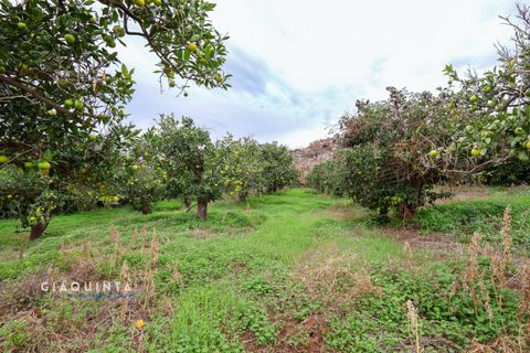 Tomt i Lentini, Siracusa, Lentini - € 125 000 | Ref: LFRFRT2026 - foto 30