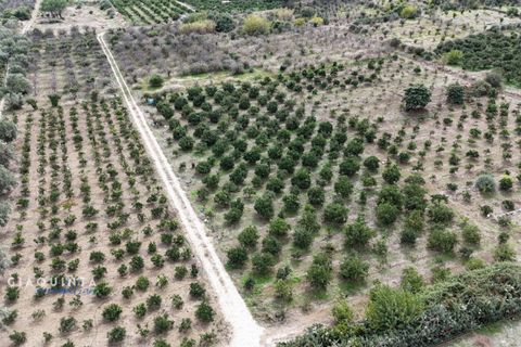 Tomt i Lentini, Siracusa, Lentini - € 125 000 | Ref: LFRFRT2026 - foto 32