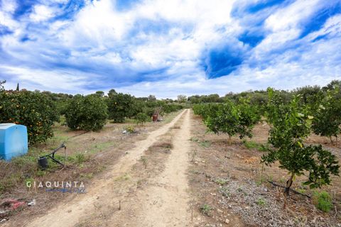 Tomt i Lentini, Siracusa, Lentini - € 125 000 | Ref: LFRFRT2026 - foto 33