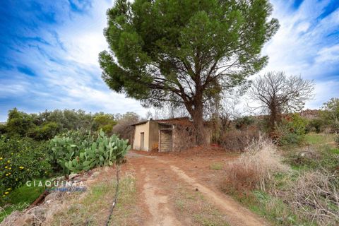 Tomt i Lentini, Siracusa, Lentini - € 125 000 | Ref: LFRFRT2026 - foto 36