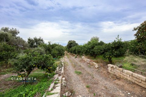 Tomt i Lentini, Siracusa, Lentini - € 125 000 | Ref: LFRFRT2026 - foto 40