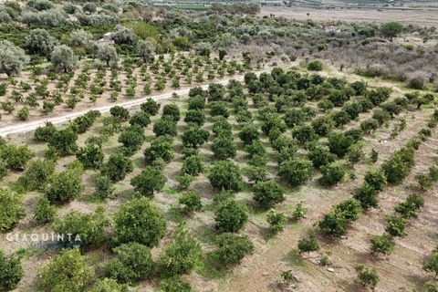 Tomt i Lentini, Siracusa, Lentini - € 125 000 | Ref: LFRFRT2026 - foto 45