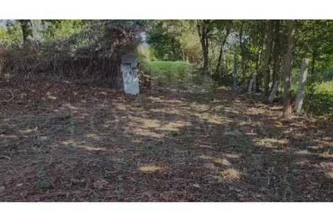 Helårsgrund i Valenca, Viana do Castelo, Valenca - € 9.000 | Ref: UNU-F1-11-18 - foto 3