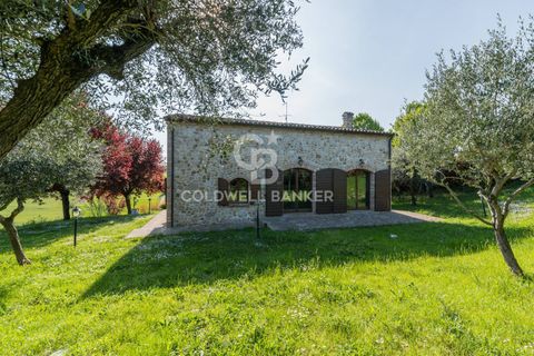 Villa a San Clemente, Rimini, San Clemente - € 920.000 | Ref: CBI099-1528-520805 - foto 40