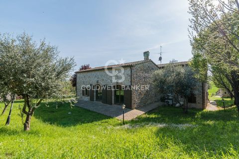 Villa a San Clemente, Rimini, San Clemente - € 920.000 | Ref: CBI099-1528-520805 - foto 45