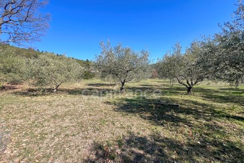 Farm hus i Manosque, Alpes-de-Haute-Provence, Manosque - € 185.000 | Ref: 340933370341 - foto 16