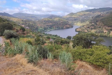 Farm i Barro, Aveiro, Barro - € 185.000 | Ref: LMG_4101 - N - foto 2